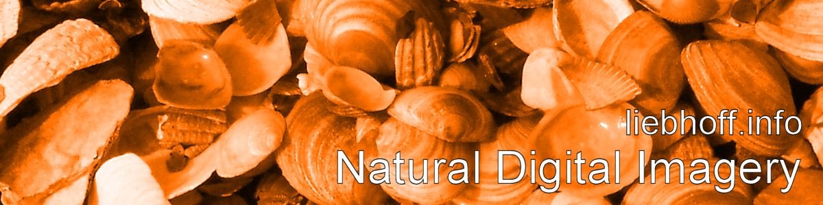 liebhoff.info - Natural Digital Imagery